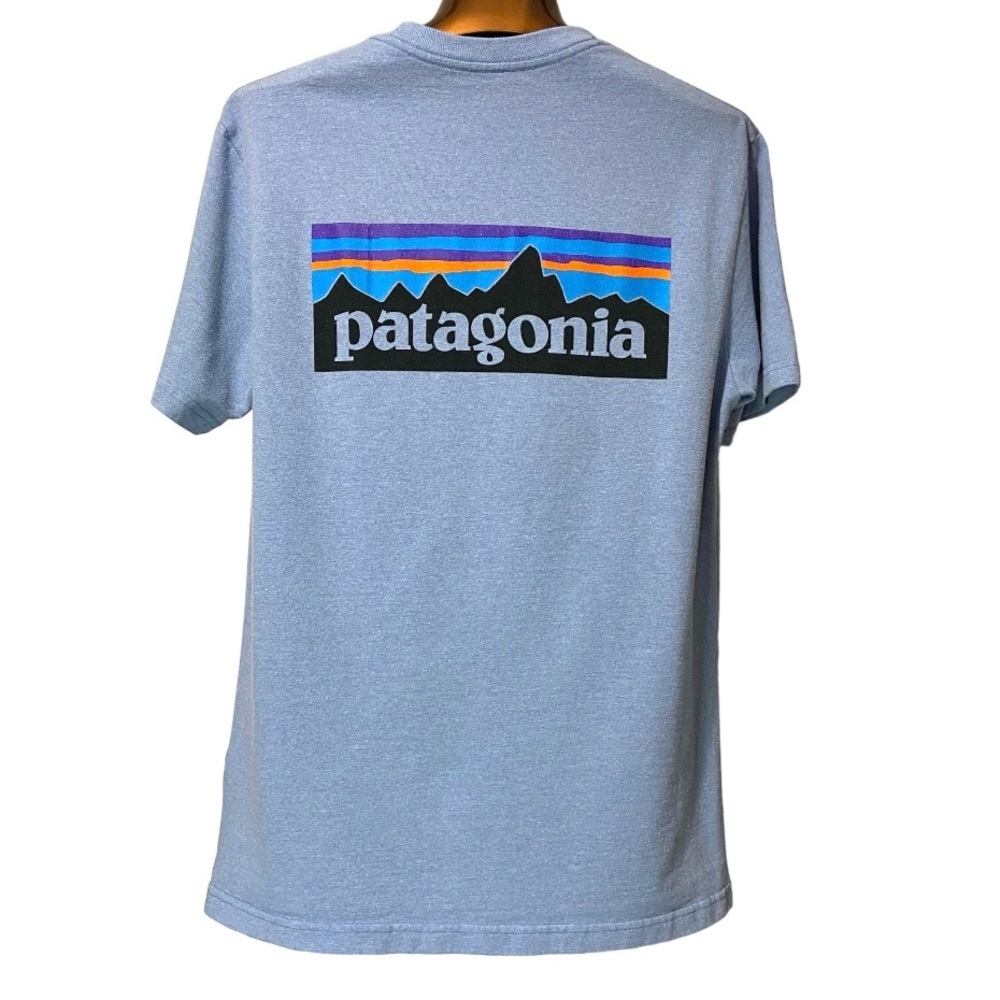 Patagonia Logo Blue T-Shirt